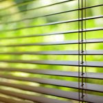 Bamboo Window Blinds in Fort Lauderdale, Florida