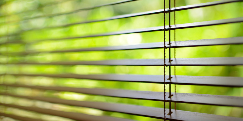 Bamboo Window Blinds in Fort Lauderdale, Florida